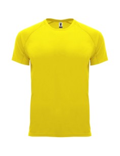 camiseta campions 2