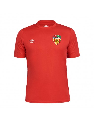 Camiseta Entreno CF Pobla de Mafumet