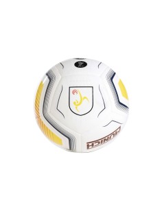 Pilota Oficial Federació Catalana Fútbol Sala 2