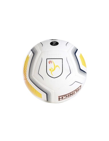 Pilota Oficial Federació Catalana Fútbol Sala