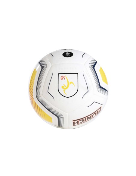 Pilota Oficial Federació Catalana Fútbol Sala